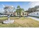 Attractive yellow home with red shutters, complemented by a well-maintained lawn, palm tree, and decorative features at 36936 Kay Ave, Zephyrhills, FL 33542
