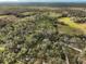 Aerial view of wooded land, showcasing its natural beauty and privacy with a home at 38506 Higginson Rd, Zephyrhills, FL 33540