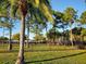 Fully fenced community dog park with lush green grass at 4326 Great Lakes N Dr, Clearwater, FL 33762