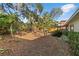 Lush backyard featuring mature trees, green landscaping, and a partially visible house at 45 Gulfwinds W Dr, Palm Harbor, FL 34683