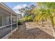 Backyard with mature trees, lush vegetation, and screened in porch for outdoor enjoyment at 45 Gulfwinds W Dr, Palm Harbor, FL 34683