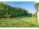 Expansive backyard with lush lawn, mature hedge providing plenty of privacy at 5943 Jasper Glen Dr, Lithia, FL 33547