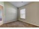 Bedroom with neutral carpet, base molding, and natural light from a window at 10614 Chambers Dr, Tampa, FL 33626