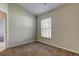 Bright bedroom with a large window and neutral colored carpet at 10614 Chambers Dr, Tampa, FL 33626
