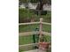 Beautiful backyard with deer grazing on the lawn, seen from porch with potted plant at 29443 Zeller Ave, San Antonio, FL 33576
