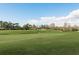 Scenic view of the golf course from the rear of the home with lush green grass at 3130 Eagles Landing W Cir, Clearwater, FL 33761