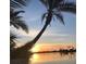 A beautiful sunset is viewed through palm trees over the water at 10355 Paradise Blvd # 909, Treasure Island, FL 33706