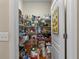 Walk-in pantry with ample metal shelving provides plenty of storage space at 11517 Weston Course Loop, Riverview, FL 33579