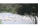 View of a flock of white pelicans swimming on a lake near lush greenery at 11720 Winterset Cove Dr, Riverview, FL 33579