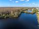 Aerial image showcasing serene pond, mature trees and natural Florida landscape at 11720 Winterset Cove Dr, Riverview, FL 33579