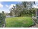 Serene backyard with a black metal fence overlooking the peaceful lake, surrounded by lush greenery and landscaping at 2981 Northfield Dr, Tarpon Springs, FL 34688