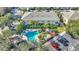Aerial shot of the community pool surrounded by palm trees, lounge chairs, and impeccable landscaping at 3870 Island Way, St Petersburg, FL 33705