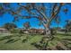 Home exterior with a sprawling lawn and mature, beautiful trees at 4191 39Th S St, St Petersburg, FL 33711