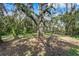 Expansive backyard with mature trees, offering a tranquil and shaded outdoor retreat at 4308 Grainary Ave, Tampa, FL 33624