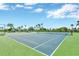 Well-maintained tennis courts surrounded by lush greenery and palm trees for an active lifestyle at 6009 Sea Ranch Dr # 307, Hudson, FL 34667