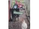 Close up inside the chicken coop with decor and chickens at 8946 Old Pasco Rd, Wesley Chapel, FL 33544