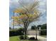 Beautiful front yard featuring a mature tree with yellow blooms, a decorative gate, and a manicured lawn at 8946 Old Pasco Rd, Wesley Chapel, FL 33544