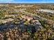 Aerial view of multi-Gathering homes surrounded by trees at 17106 Carrington Park Dr # 627, Tampa, FL 33647