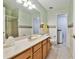 Bathroom features long vanity with modern sink, walk-in shower, and a convenient toilet at 10416 Moshie Ln, San Antonio, FL 33576