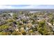 Lush aerial showing homes nestled among mature trees in a quiet neighborhood with a community area and city skyline in the distance at 1212 E Crawford St, Tampa, FL 33604