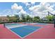 Community pickleball and basketball courts on a sunny day at 13915 Kingfisher Glen Dr, Lithia, FL 33547
