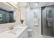 Updated bathroom showcasing vanity with quartz countertop, glass shower, and decorative art at 15306 Winterwind Dr, Tampa, FL 33624