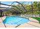 Large screened-in pool with a sunny pool deck and privacy at 15306 Winterwind Dr, Tampa, FL 33624