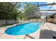 Large screened-in pool with a sunny pool deck and privacy at 15306 Winterwind Dr, Tampa, FL 33624