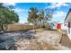 Fenced-in backyard with fresh grass, palm trees, and a charming white storage shed at 2007 Yale Ave, Bradenton, FL 34207