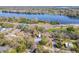 Aerial view of property surrounded by mature trees with a pond nearby at 3820 E Lakeshore Dr, Tampa, FL 33604