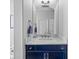 Bathroom features a blue vanity with marble countertop and elegant fixtures at 5204 Avenue La Crosse, Lutz, FL 33558
