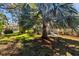 Backyard landscape with a palm tree and lush foliage, providing a serene retreat at 1213 Halifax Ct, Tarpon Springs, FL 34688