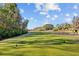 A picturesque golf course with a tee box and manicured lawns at 1213 Halifax Ct, Tarpon Springs, FL 34688