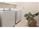 Functional laundry room with white washer and dryer, complimented by a decorative plant at 14330 Fissore Blvd, Wimauma, FL 33598