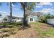 Large backyard with mature trees, a well-maintained lawn, and a patio, perfect for outdoor enjoyment at 8704 Thornwood Ln, Tampa, FL 33615