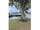 Scenic backyard featuring mature trees, waterfront views, and a private boat dock providing relaxation and outdoor enjoyment at 8704 Thornwood Ln, Tampa, FL 33615