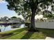 Scenic backyard with a large shade tree, waterfront views, and a private boat dock; great for relaxation and outdoor activities at 8704 Thornwood Ln, Tampa, FL 33615