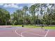 Outdoor basketball court with well-maintained surface and hoops surrounded by trees at 10340 Lightner Bridge Dr, Tampa, FL 33626