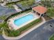 Aerial view of the community pool with lounge chairs, tables, and lush landscaping at 1259 Ribolla Dr, Palm Harbor, FL 34683