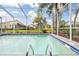 Screened in pool with ladder leading into blue trim pool at 13542 Summerwood Ct, Hudson, FL 34667