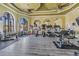 Bright gym featuring ceiling fans, arched windows, various weight machines, and cardio equipment at 2733 Via Cipriani # 814A, Clearwater, FL 33764