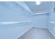 Bright walk-in closet with carpeted floor and several tiers of wire shelving for optimal storage and organization at 6113 Plover Meadow St, Lithia, FL 33547