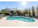Beautiful in-ground pool surrounded by lush landscaping and a black fence at 6705 Myrna Dr, Tampa, FL 33619