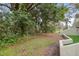 Landscape view of backyard area with lush trees and foliage, plus the stucco perimeter wall of townhome at 13502 Palmwood Ln # 13502, Tampa, FL 33618