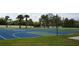 Community basketball court featuring multiple hoops and well-maintained playing surface surrounded by mature trees at 19432 Haskell Pl, Land O Lakes, FL 34638