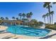 Resort-style pool surrounded by lush landscaping and palm trees on a clear, sunny day at 34159 Astoria Cir, Wesley Chapel, FL 33545