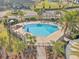 Aerial view of neighborhood pool with palm trees, lounge seating, and shady umbrellas at 34159 Astoria Cir, Wesley Chapel, FL 33545
