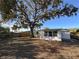 Private backyard with mature trees providing shade and a fenced perimeter at 4623 Irene Loop, New Port Richey, FL 34652