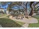 Community picnic area with mature shade trees offering a peaceful outdoor gathering space at 5162 Sunridge Palms Dr # 5162, Tampa, FL 33617