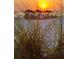 Beautiful beach sunset with grass in the foreground at 712 Beach Trl # C, Indian Rocks Beach, FL 33785